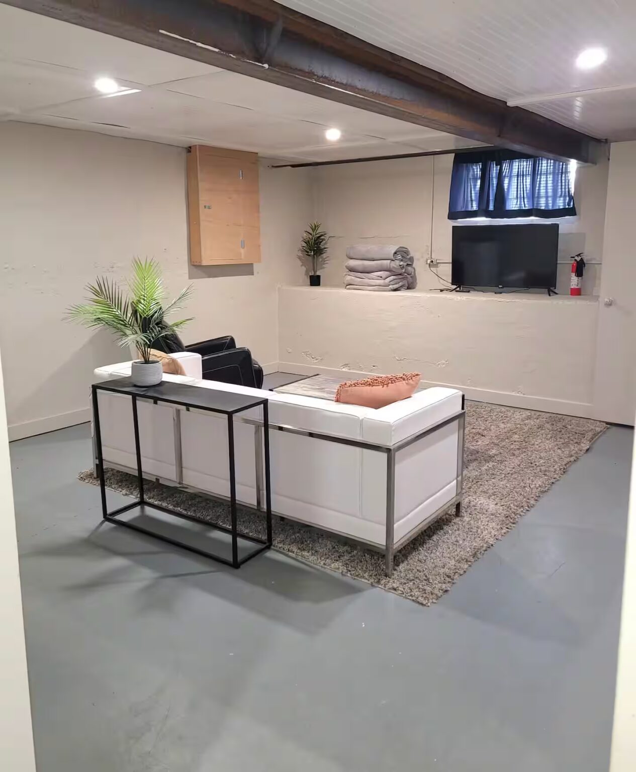 Blue Basement Living