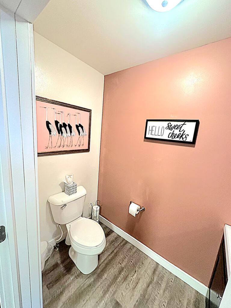 Cabin Main Half Bath